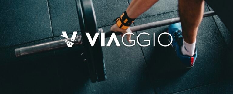 ViAGGIO logo